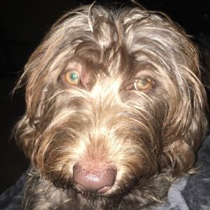 Some Pretty Things For You to Look at😊